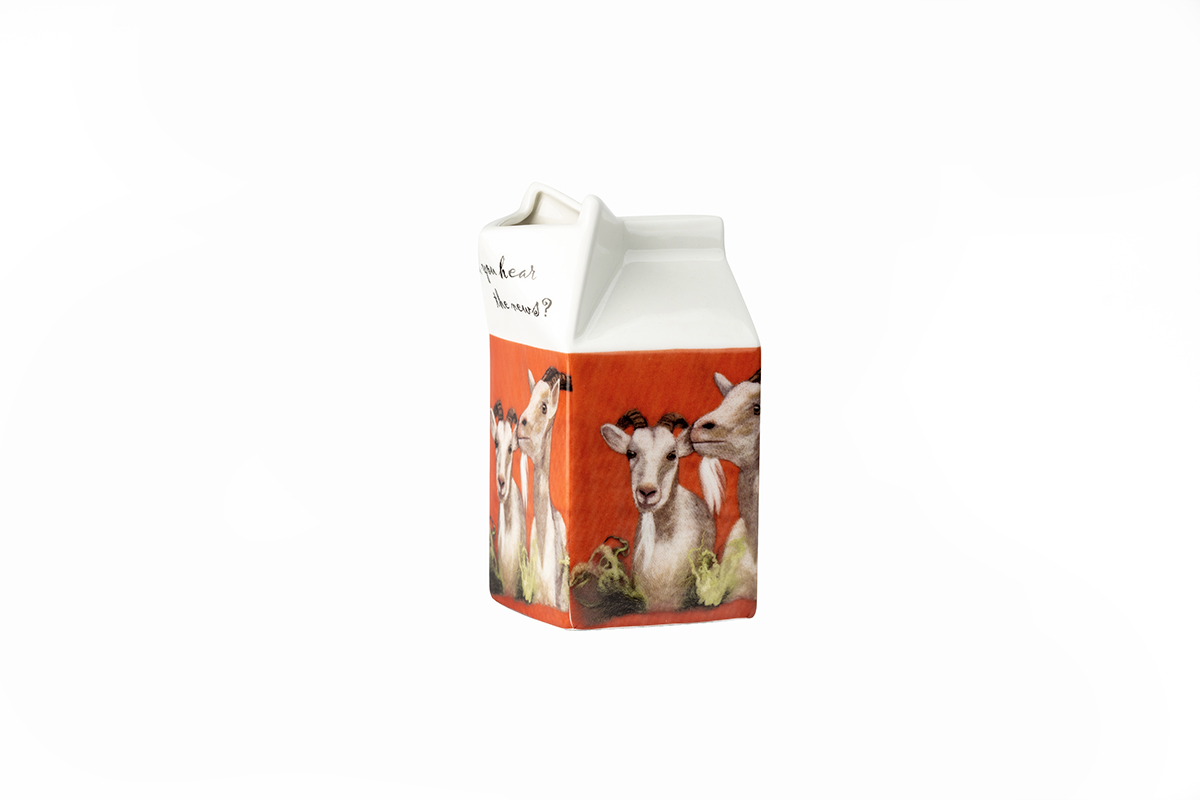 Carton Jug
