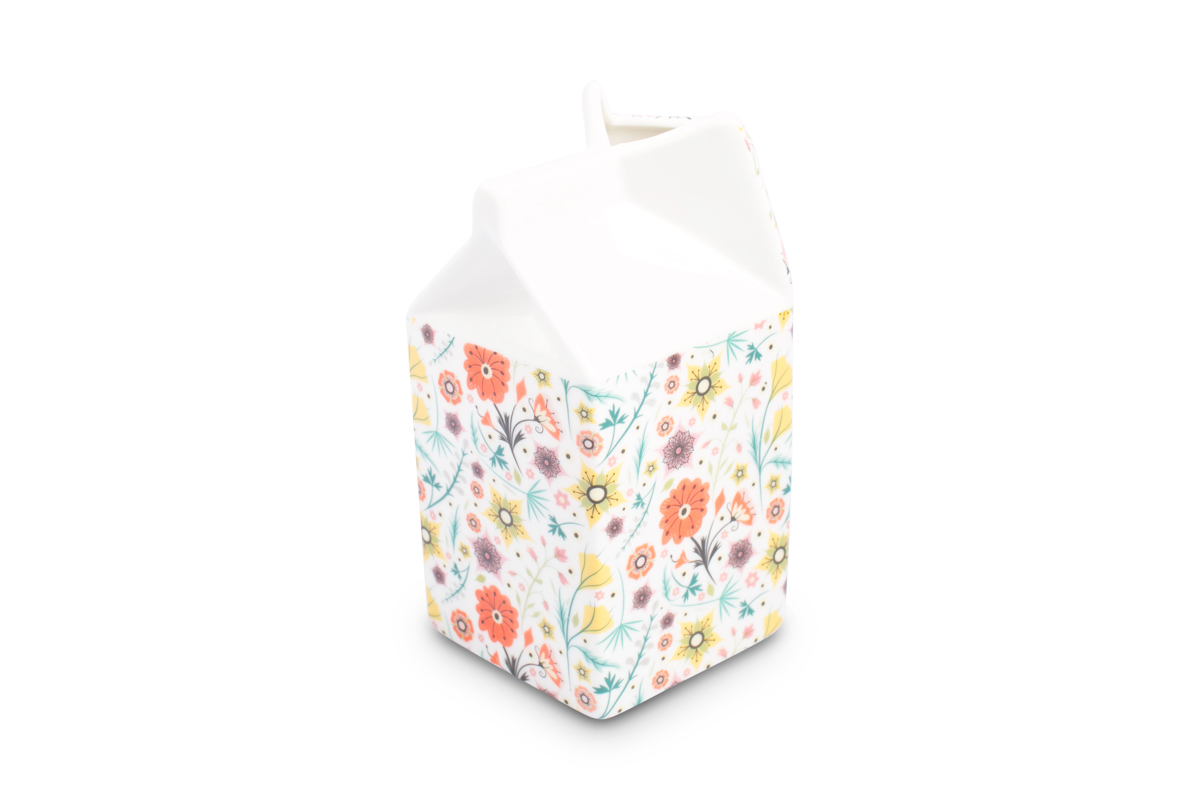 Large Carton Jug